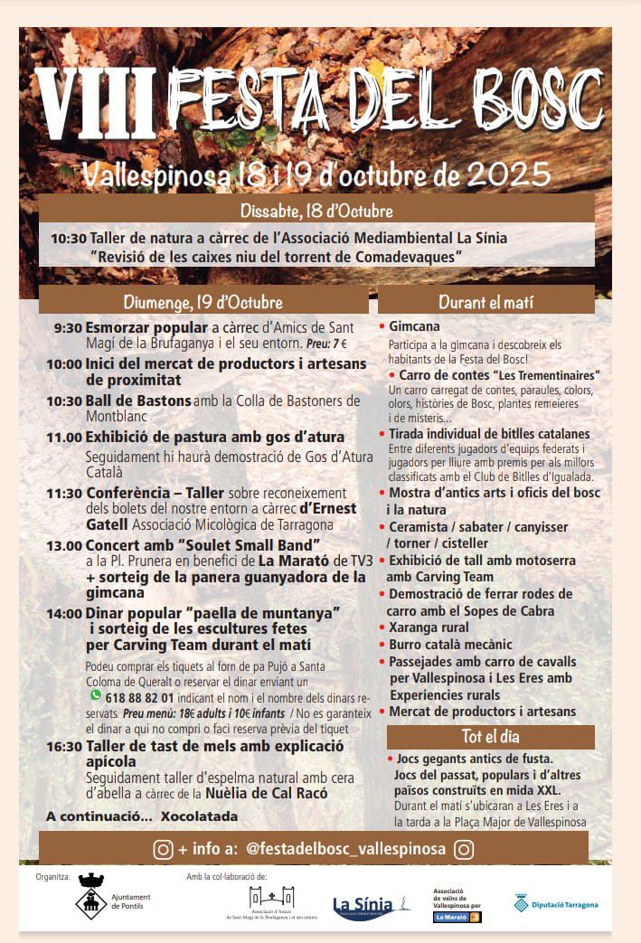 VIII Festival del Bosc a Vallespinosa