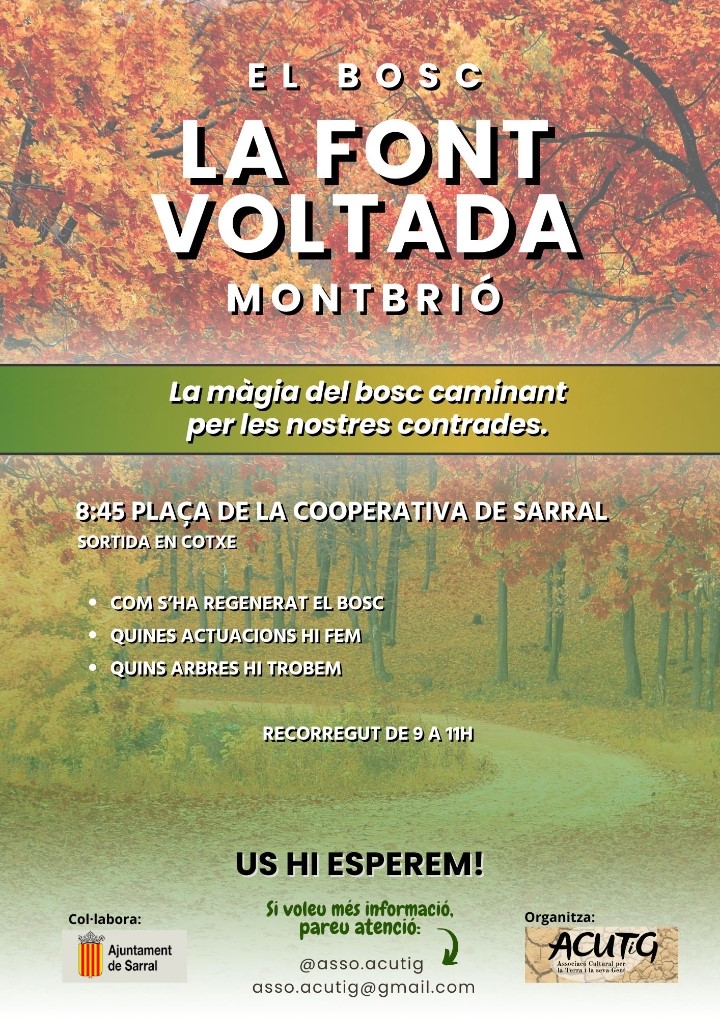 Sortida matinal- Acutig a Sarral