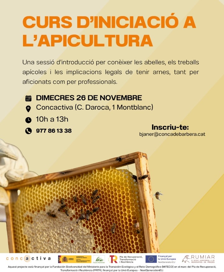 Curs d'iniciació a l'apicultura a Montblanc [PRÈVIA INSCRIPCIÓ]